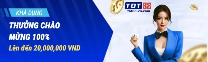 Biện pháp bảo mật và truy cập an toàn 333666v