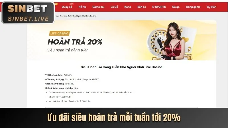 Hoàn trả hàng tuần cho thành viên VIP 333666v